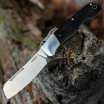 Нож Kershaw 4384 PARLEY