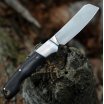 Нож Kershaw 4384 PARLEY